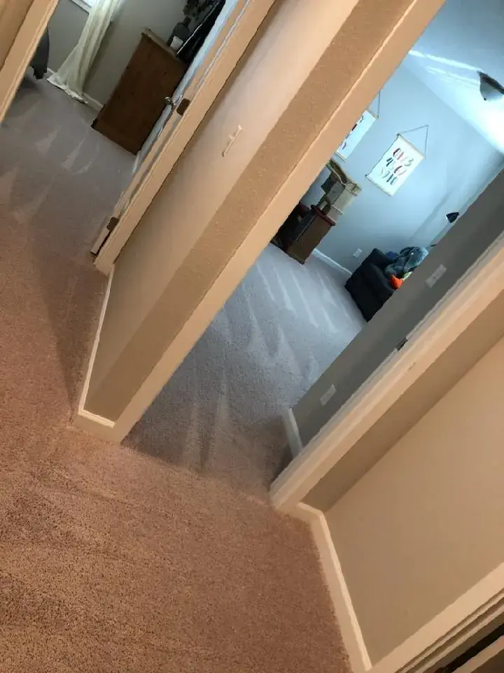 Clean carpeted hallway with three visible rooms.