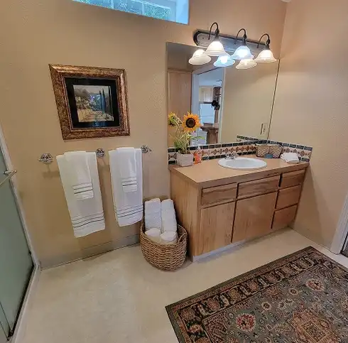 Professional Cleaning Services